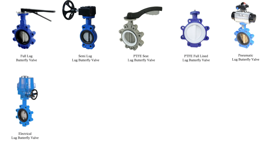 Cast/Ductile Iron Di Ci Stainless Steel Body EPDM/NBR/PTFE Seat Electrical Actuator Driver Pn10 Pn16 150lb Flange Gate Sluice and Butterfly Valve