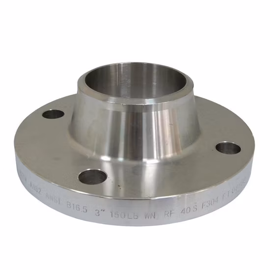 단조 ASME B16.5 ASTM A182 F304 F304L 스테인레스 스틸 플랜지 Wn 플랜지